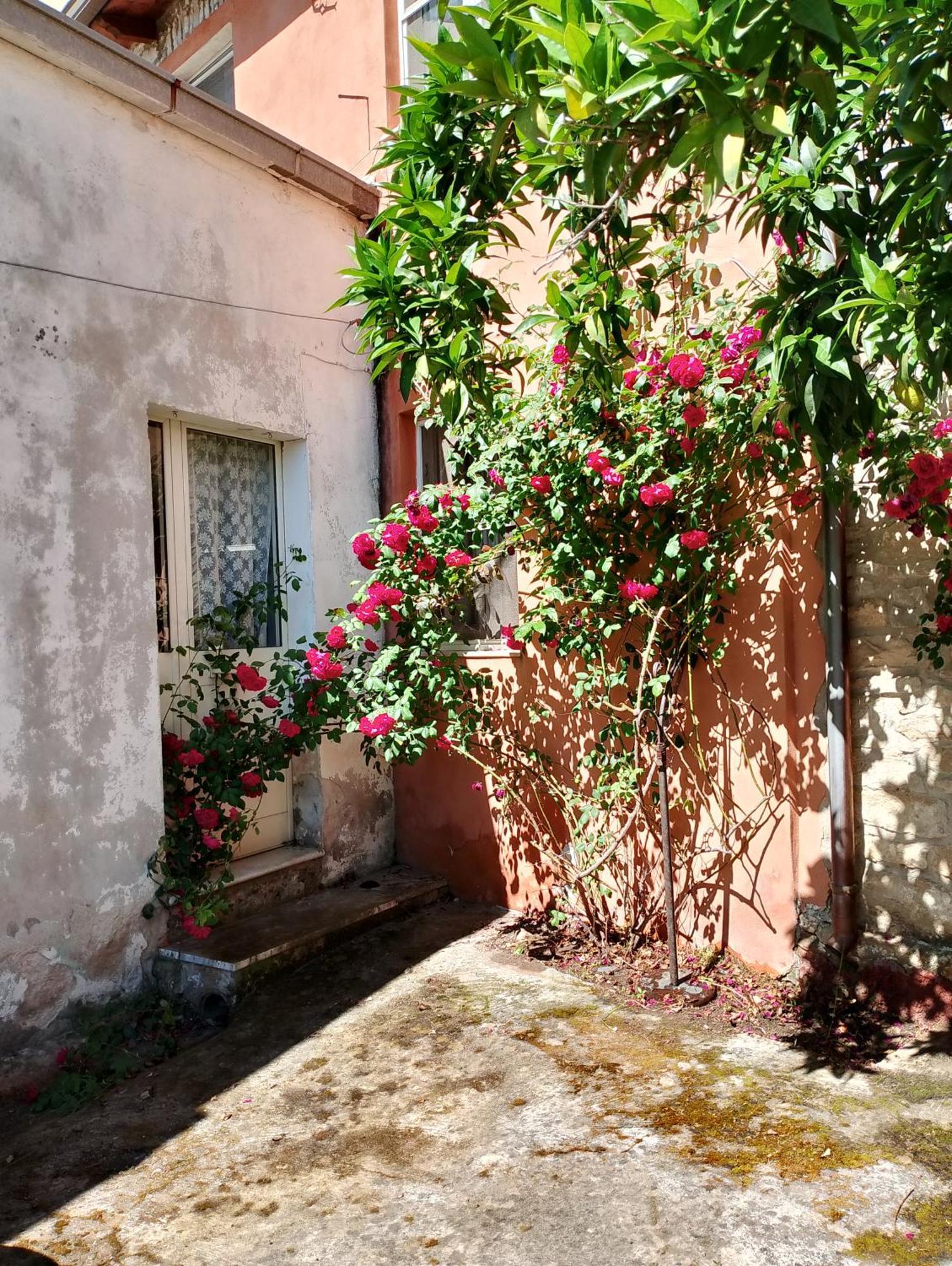 La Corte Degli Aranci Senorbi Экстерьер фото